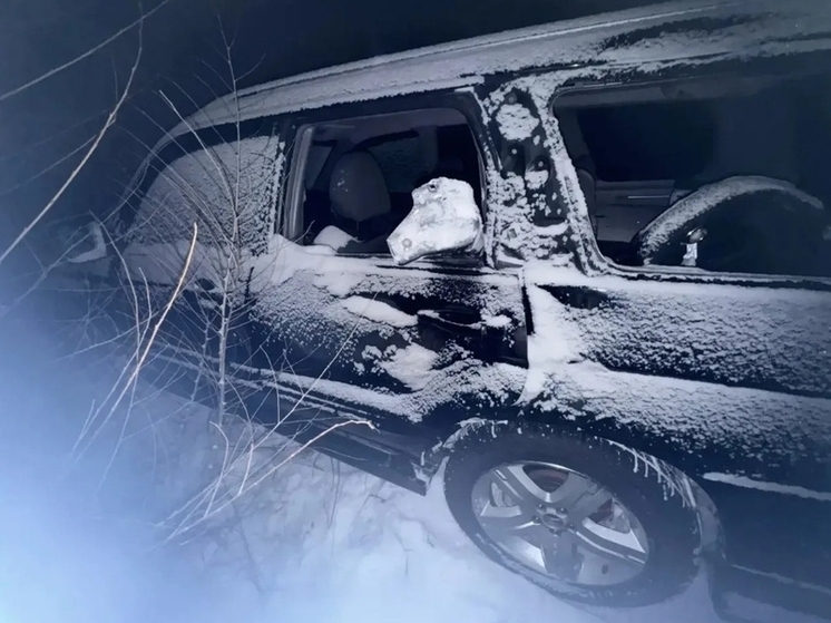 В Хакасии пьяный водитель при обгоне сбил насмерть пенсионерку