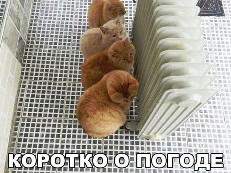 Отложить загородные поездки из-за экстремальных морозов призывают ямальцев