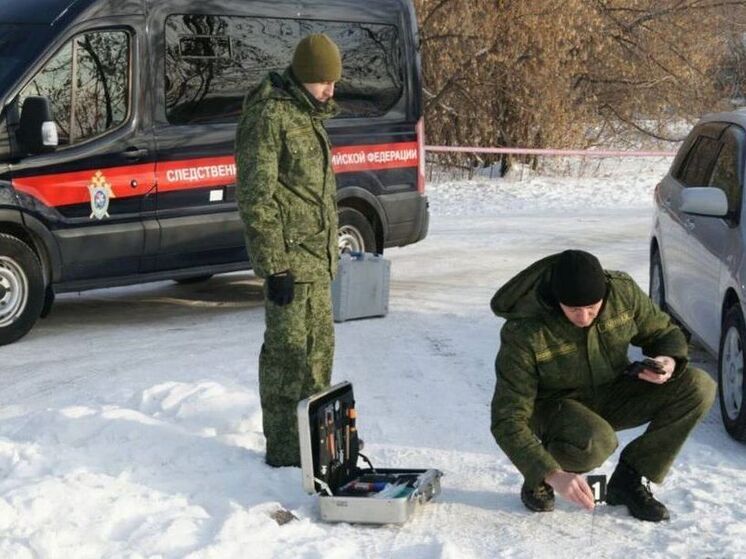 24-летнюю женщину убил сожитель в Свирске