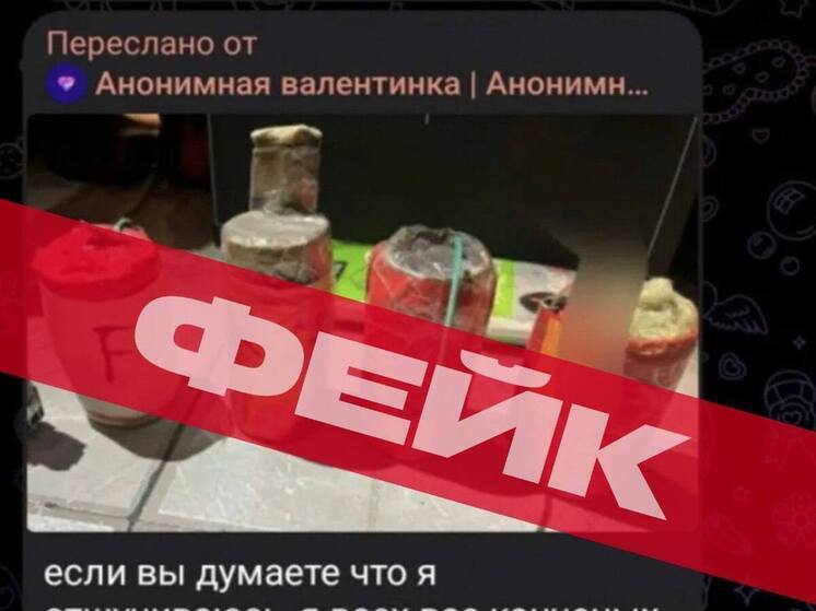 Волна фейков о нападениях на школы накрыла Алтайский край