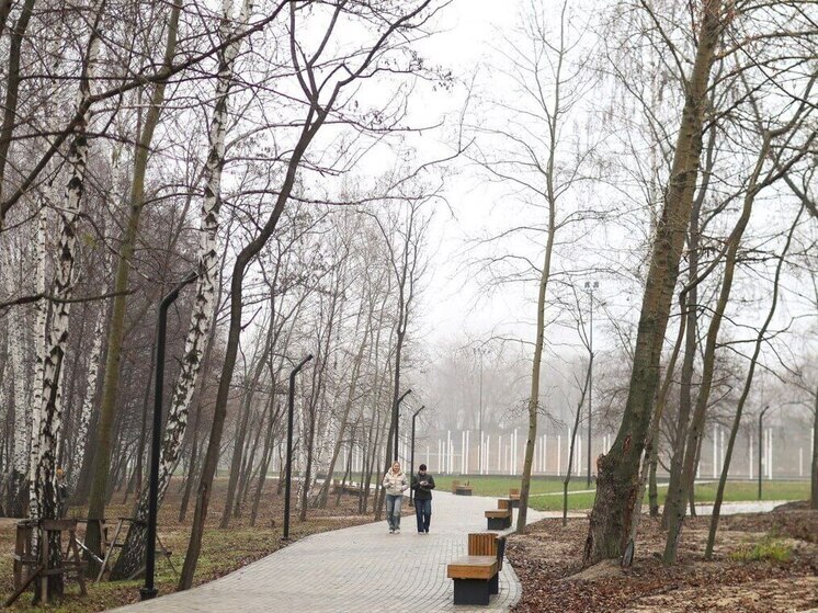 До воскресенья в Воронежской области осадки не прогнозируют