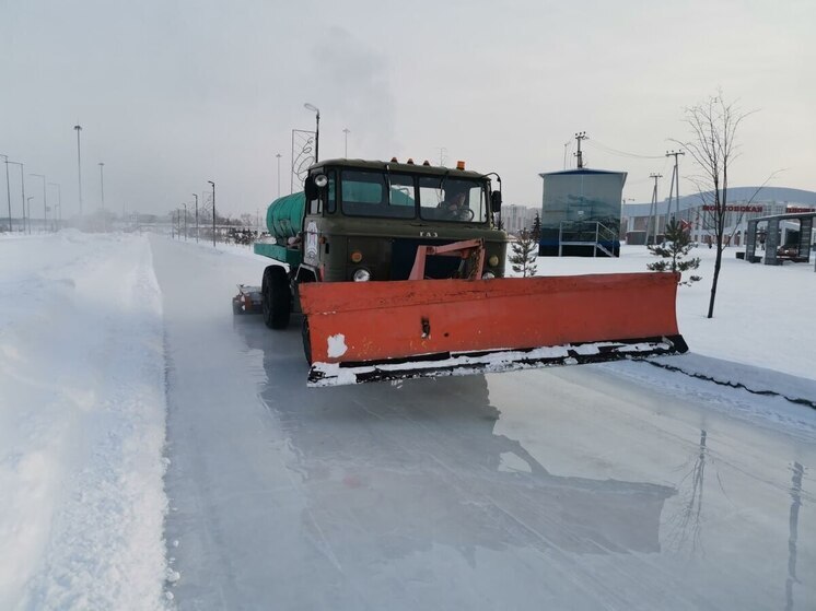 В Кемерове открылся восьмисотметровый ледовый каток