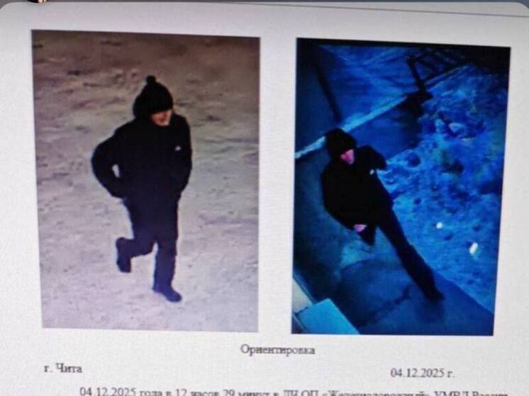 Подозреваемого в попытке нападения на 10-летнюю девочку задержали в Чите