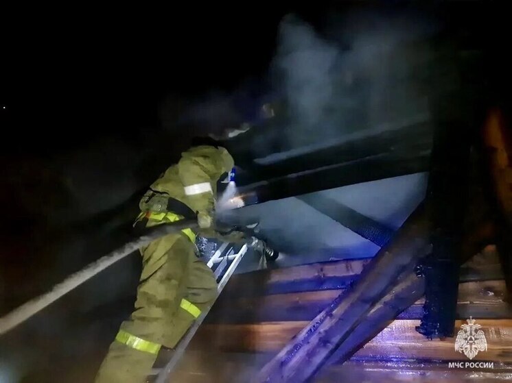 На Алтае из-за неправильной утилизации золы вспыхнула баня