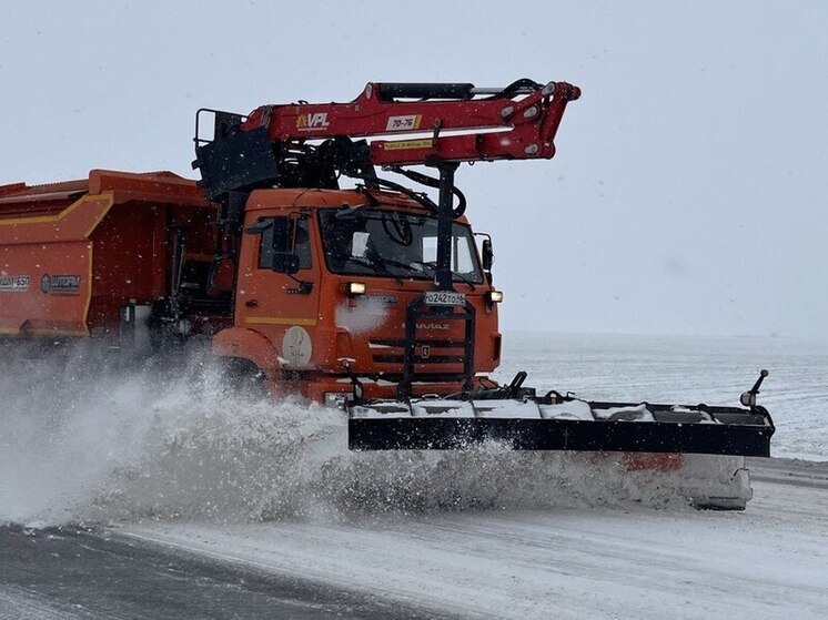Осторожно, снегопад: как автомобилисту не стать жертвой зимних осадков