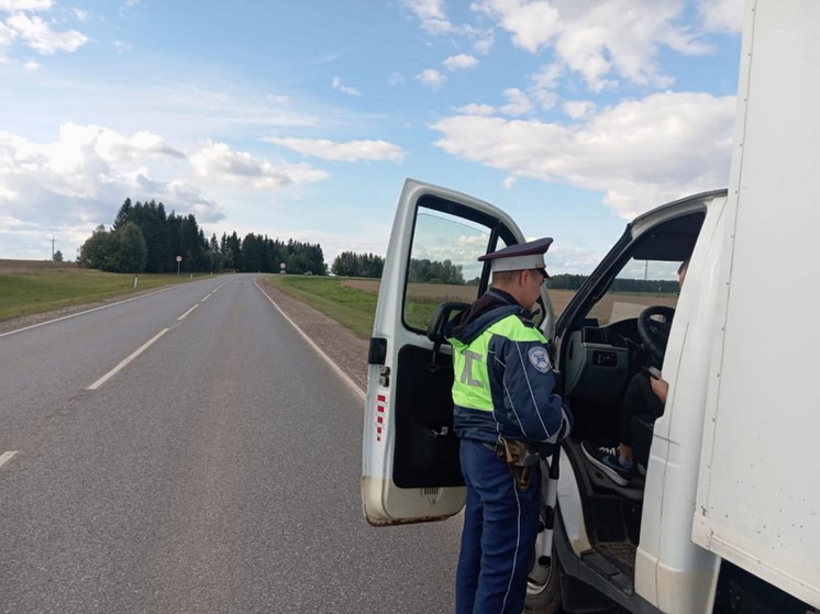 Инспектор ДПС требует доступ к вашему телефону: как правильно отреагировать водителю - главные правила, которые спасут вас