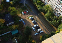 На днях стало известно о знаковом решении Верховного суда РФ по «делу Долиной»