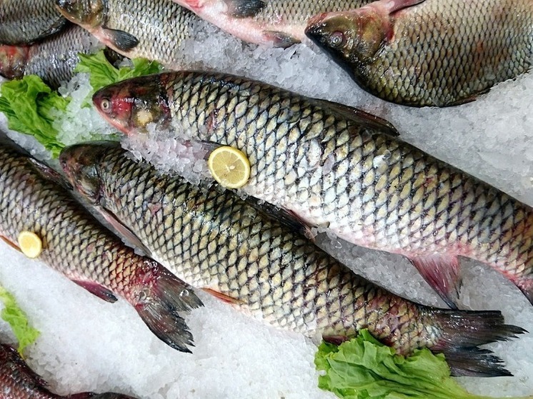 Забытая рыба с супер-свойствами: что советуют есть врачи вместо популярных видов