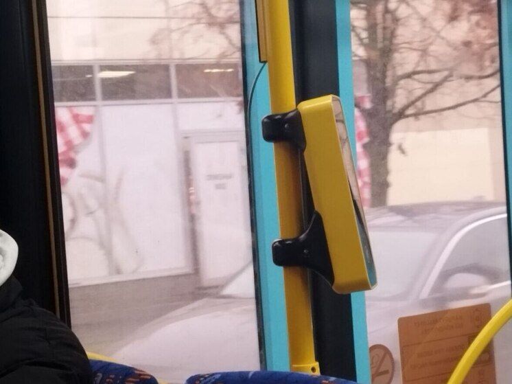 В Калининградской области детям ветеранов предоставят бесплатный проезд