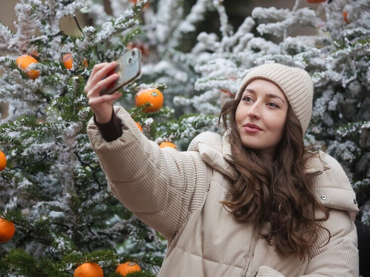 Синоптик Тишковец: москвичи встретят Новый год с морозом и снегом