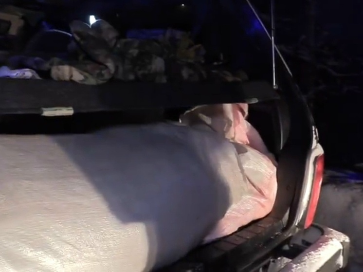 В Хакасии поймали браконьеров за охотой на косуль