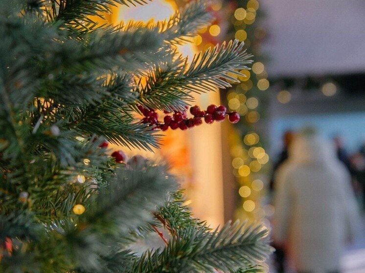 Владивосток зажигает огни: в центре города заработала подсветка на 20 исторических зданиях