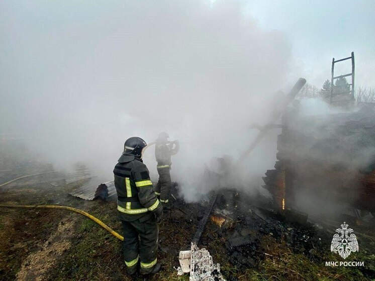 В поселке Раздолье Ефремовского округа загорелась баня