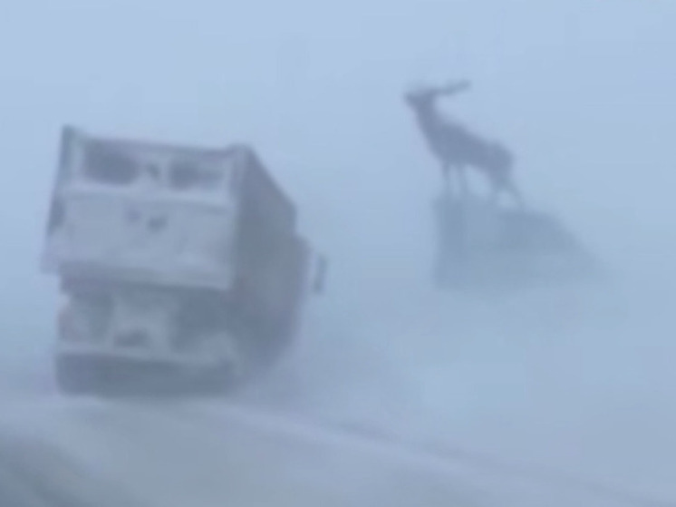 Три массовых аварии с пострадавшими зафиксировали в Иркутской области в разгар метели