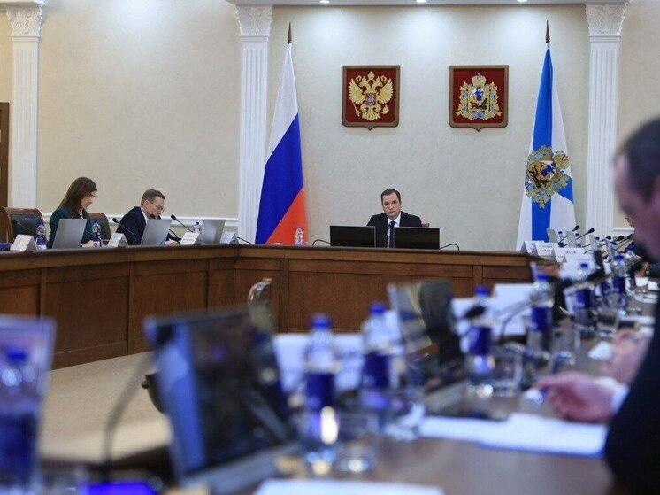 Власти Поморья обсудят с китайцами освоение леса в нашем регионе