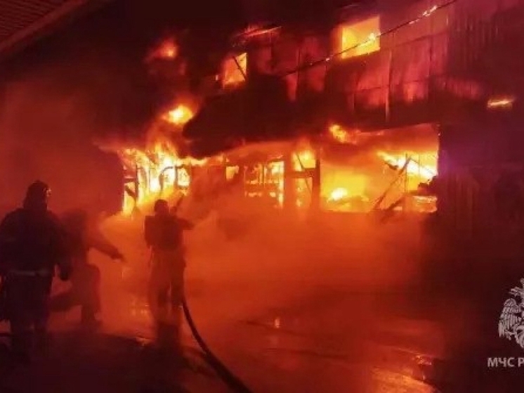 За стуки в Ростовской области спасатели потушили 9 пожаров