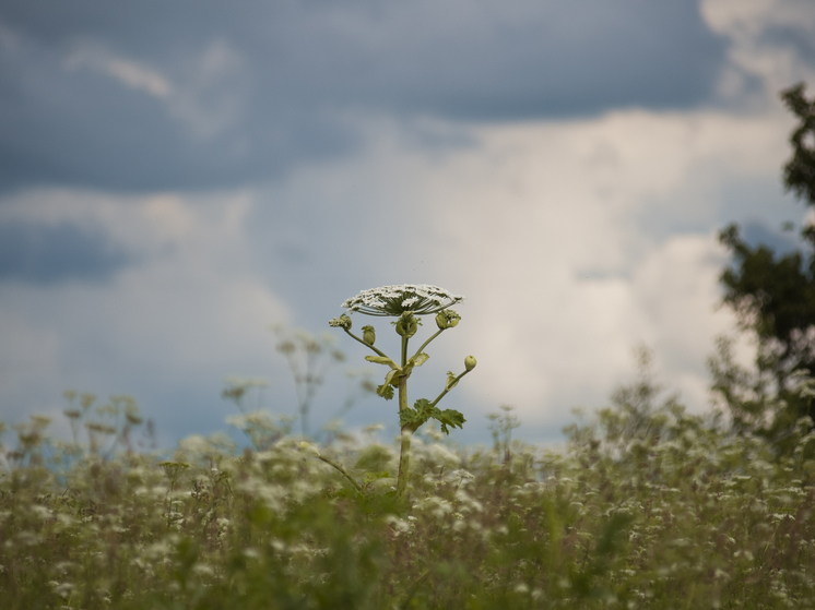 Житель Тверской области оштрафован за игнорирование предписания