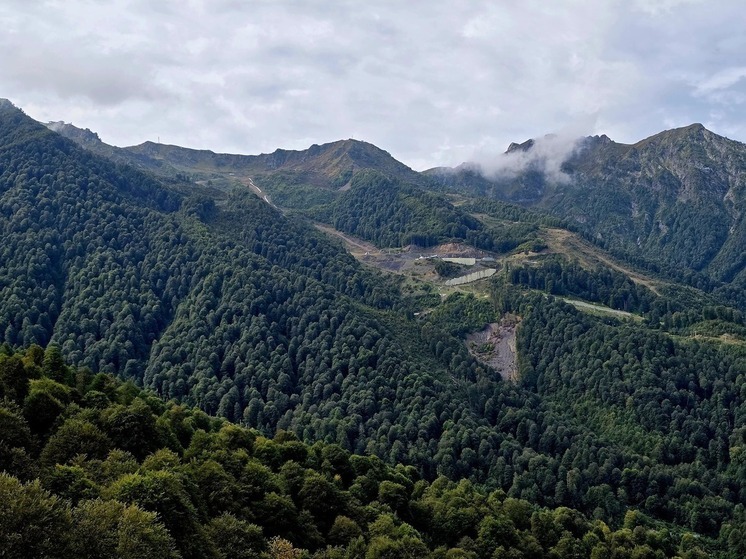 В Сочи и ФТ Сириус 19 декабря ожидается облачная погода и температура до +14°C