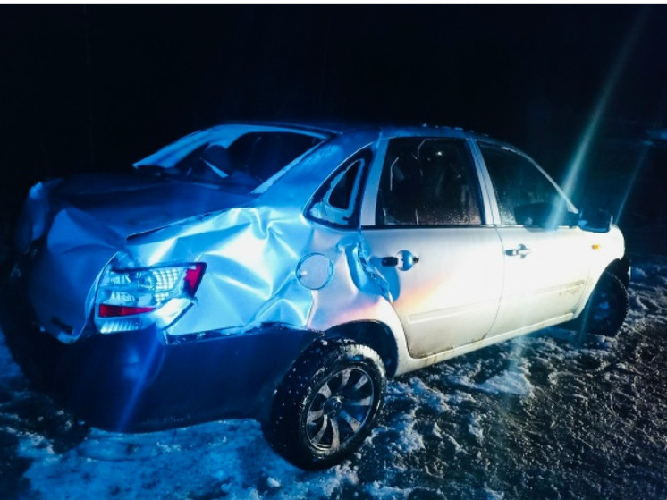 Водитель «Лады» сбил собаку и съехал в кювет под Вологдой