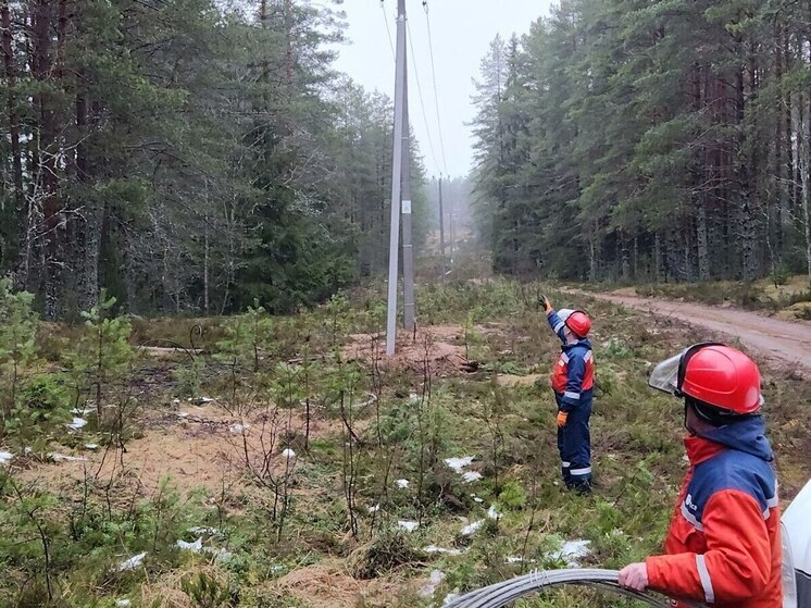 В валдайской деревне Миронеги реконструировали труднодоступный участок ЛЭП