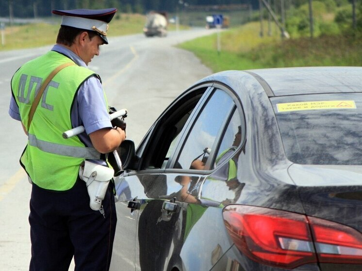 Запорожец получил 5 месяцев ограничения свободы за поддельные документы на автомобиль