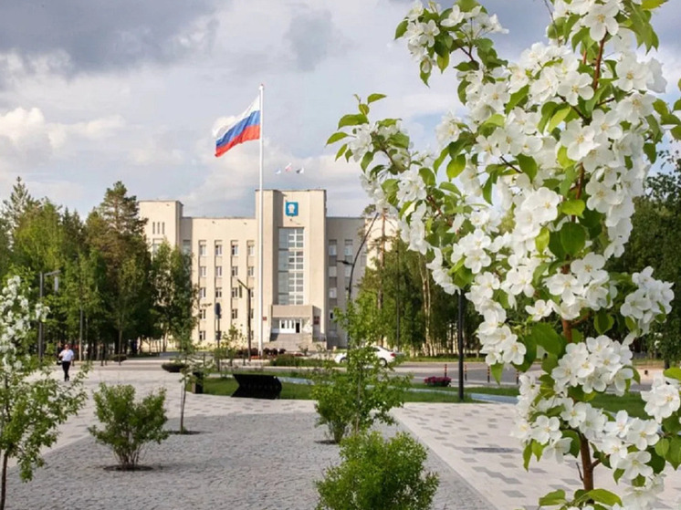 33 тысячи деревьев и кустов посадили на Ямале в 2025 году