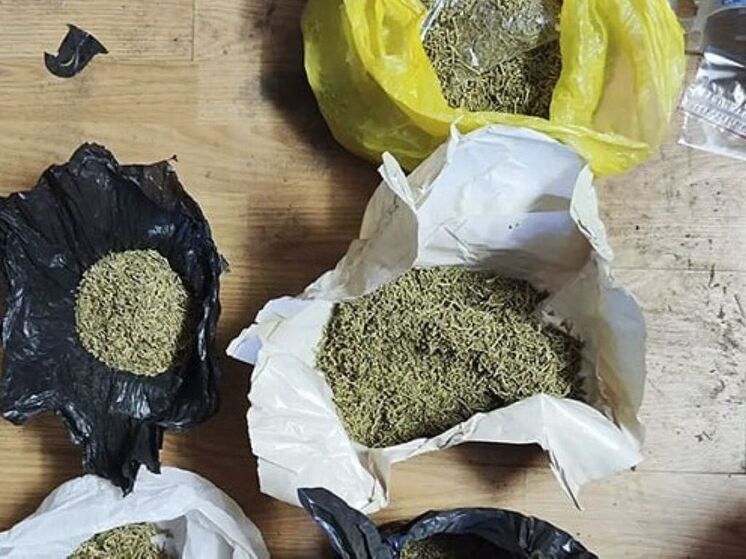 В Калуге перед судом предстанет мужчина за производство 23 кг марихуаны