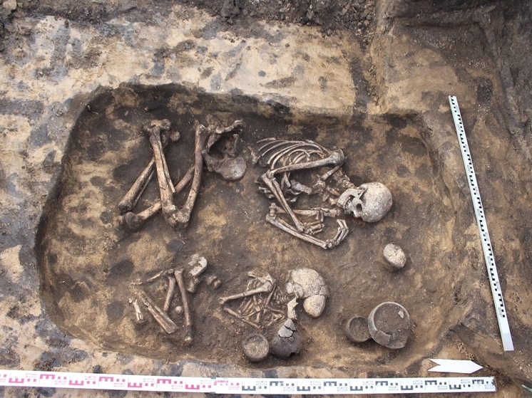 28 захоронений возрастом три тысячелетия нашли под Воронежской областью