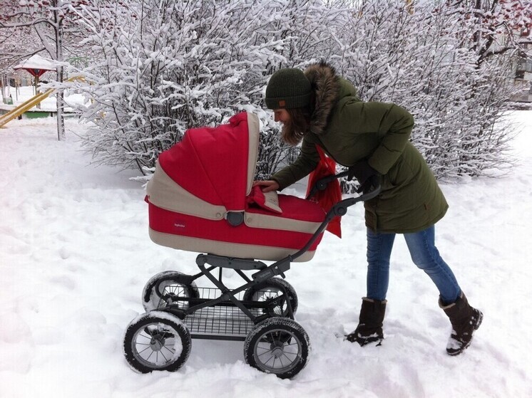 Владимир стал родиной для 205 малышей в ноябре