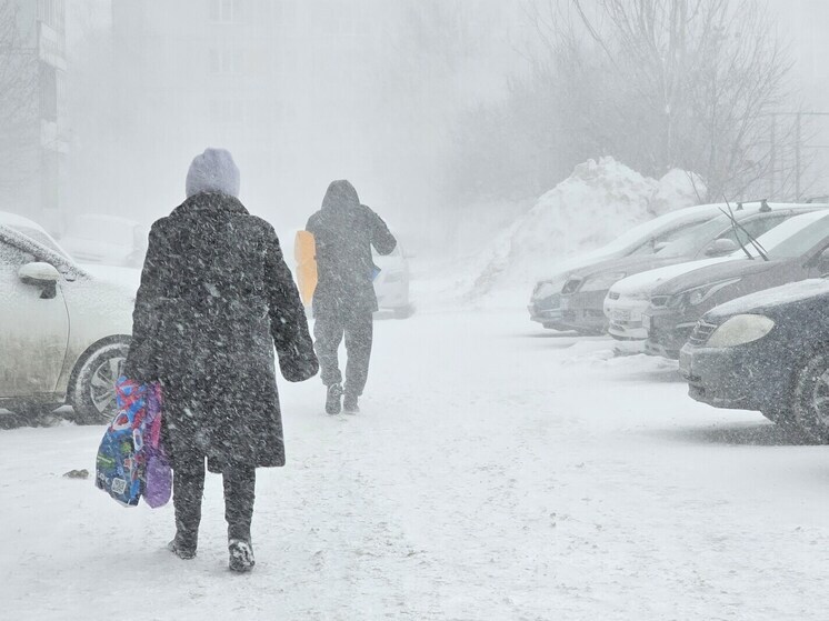 В Новосибирске в выходные похолодает до -30°C