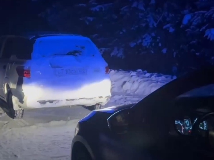 Подозреваемых в браконьерстве задержали в Приангарье