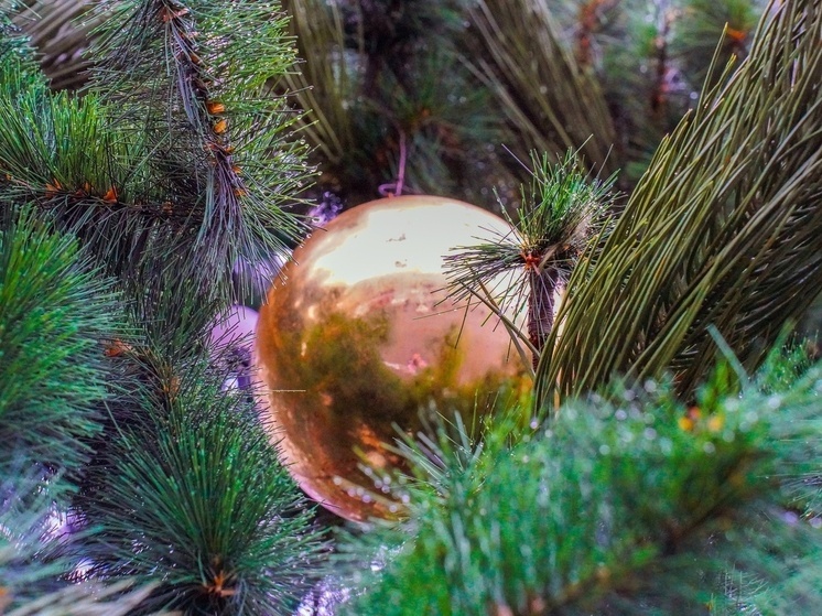 В Тульской области ОНФ начал новогодний сбор в рамках акции «Все для Победы 71»