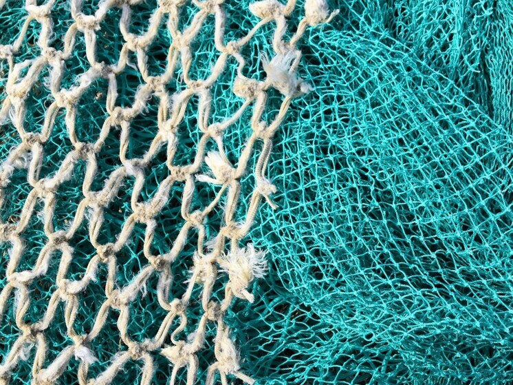 Жителя Бурятии оштрафовали за незаконную добычу омуля на 115 тысяч рублей