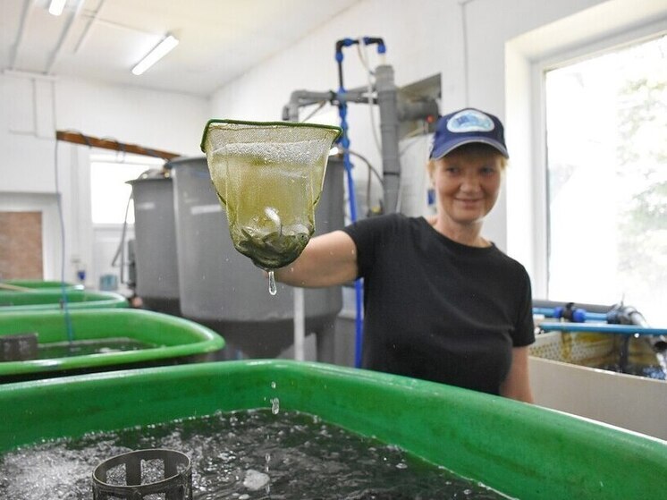 Калининградская область нацелилась на рост рыбных запасов