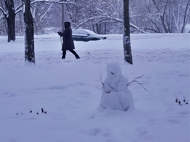 Мурманчане могут украсить двор и получить миллион