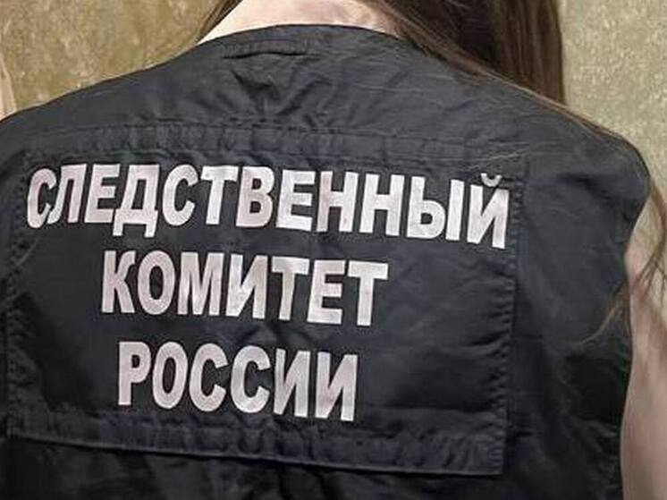 Глава СК заинтересовался делом о нападении мужчины на девочку под Воронежем