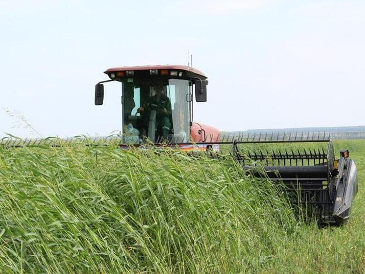 В Краснодарском крае сельхозпроизводителям выплатили рекордную сумму по агрострахованию – более 2,7 млрд рублей