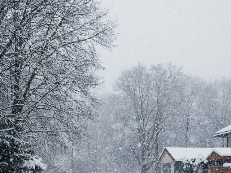 Месячная норма осадков выпала в Забайкалье за два дня