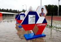 Когда я впервые увидела новость о том, что в Серпухове появится своя Аллея спортивной славы, почувствовала искреннюю радость