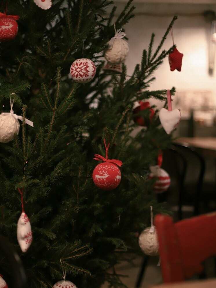 В Бурятии рассказали, как правильно выбрать новогоднюю ёлку