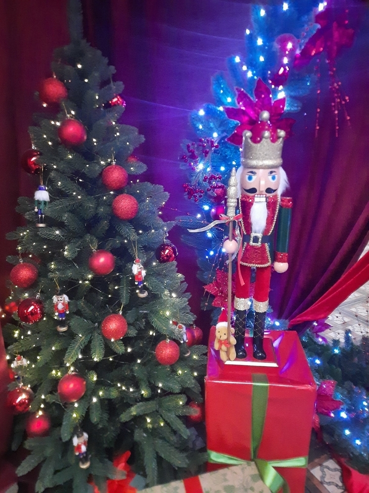 Главную новогоднюю елку ЛНР откроют в Луганске 26 декабря