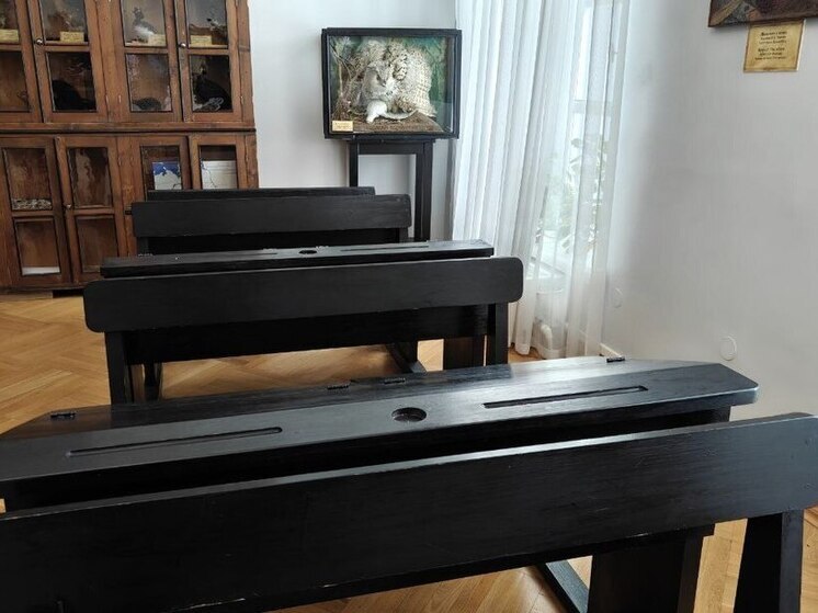 Директор петербургской гимназии назвала задержание учительницы «бредом»