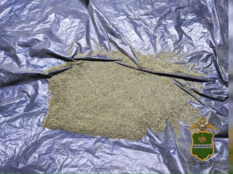 В Калуге пойдёт под суд незаконный агроном