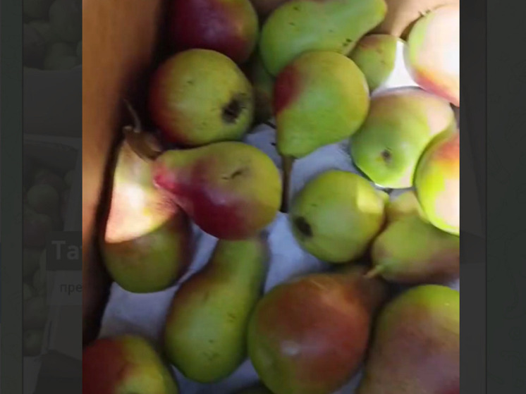 Уроженка Бурятии доставила бойцам на СВО свежие фрукты с Кубани