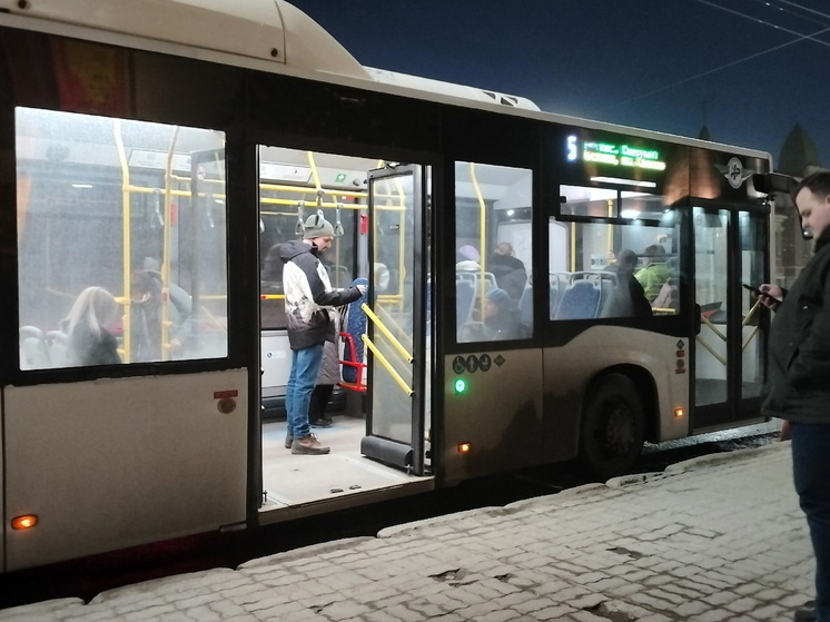 В Омске пассажирка пожаловалась на действия контролёра в автобусе