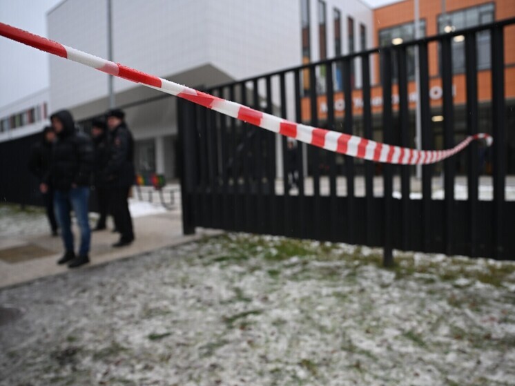 Школьным психологам предъявили претензии после убийства в подмосковной школе