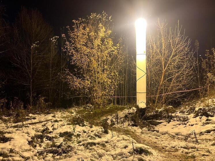 В Алтайском крае девочка-подросток предстанет перед судом за убийство новорожденного сына