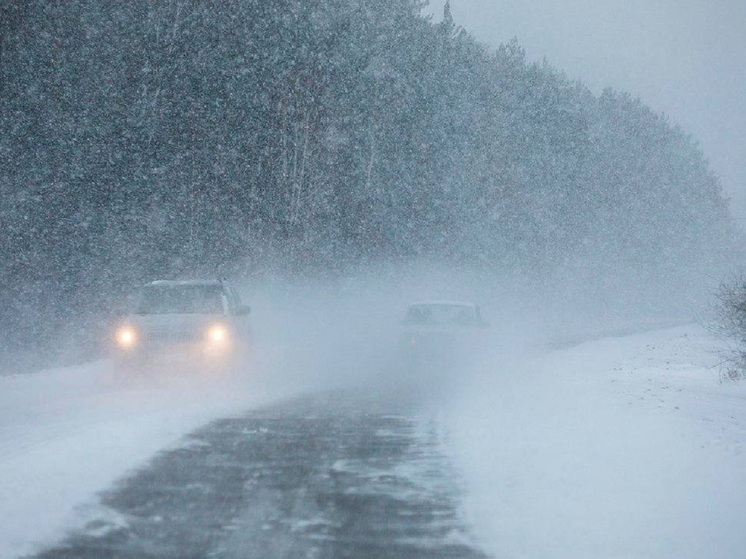 Водителей просят отказаться от дальних поездок по Курганской области