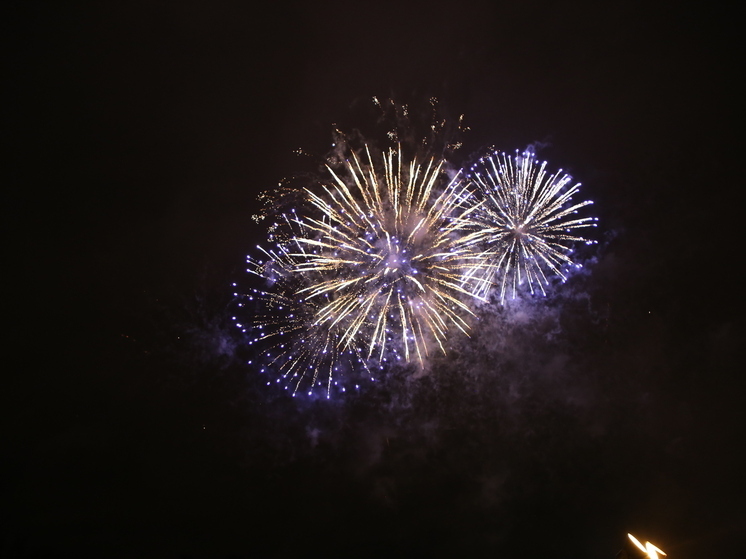 Тверской работник подозревается в продаже петард подросткам