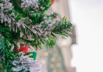 В преддверии Нового 2026 года погода в Приморском крае обещает быть переменчивой, но без серьезных катаклизмов